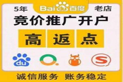 百度推广代运营成功案例解析